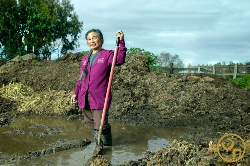 20170307_144622_EJ031352_044713cc1