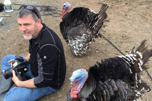 20170308_200522_X_00369b1